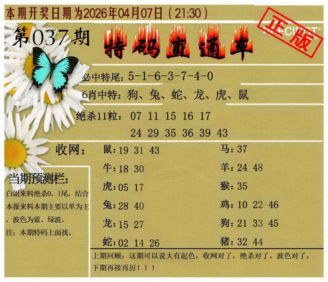 037期特码直通车[图]
