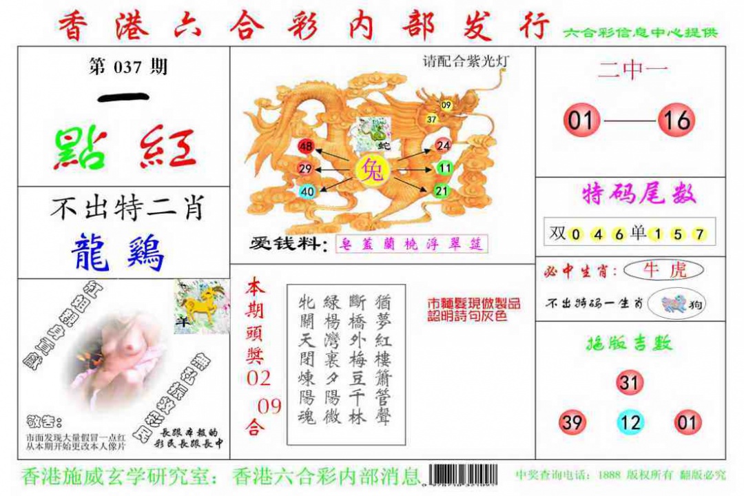 037期一点红[图]