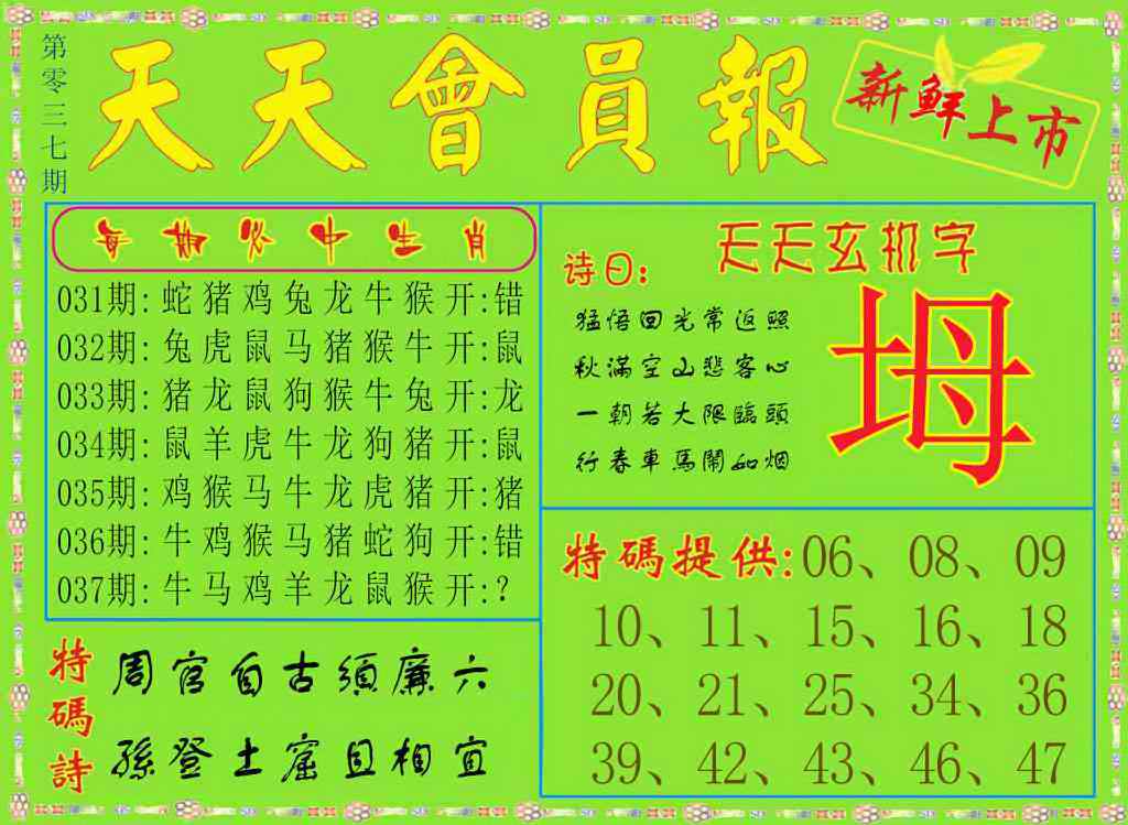 037期天天会员报[图]