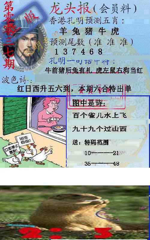 037期龙头报[图]